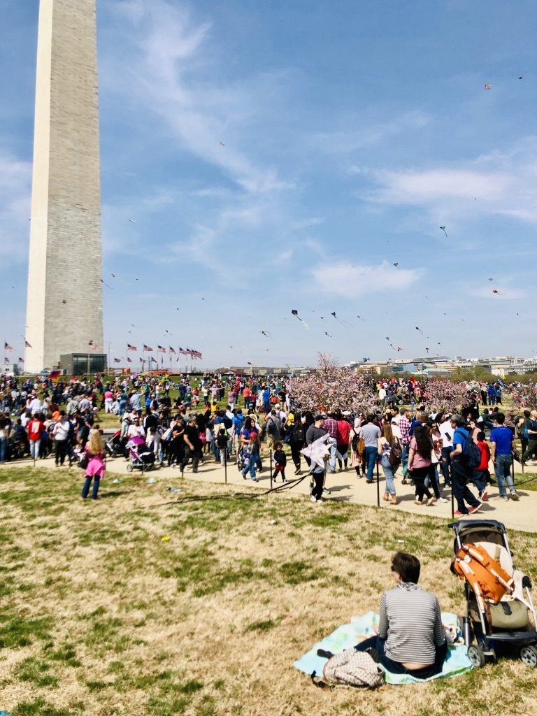 Cherry Blossom Kite Festival in Washington, DC travel guide by Momma Wanderlust