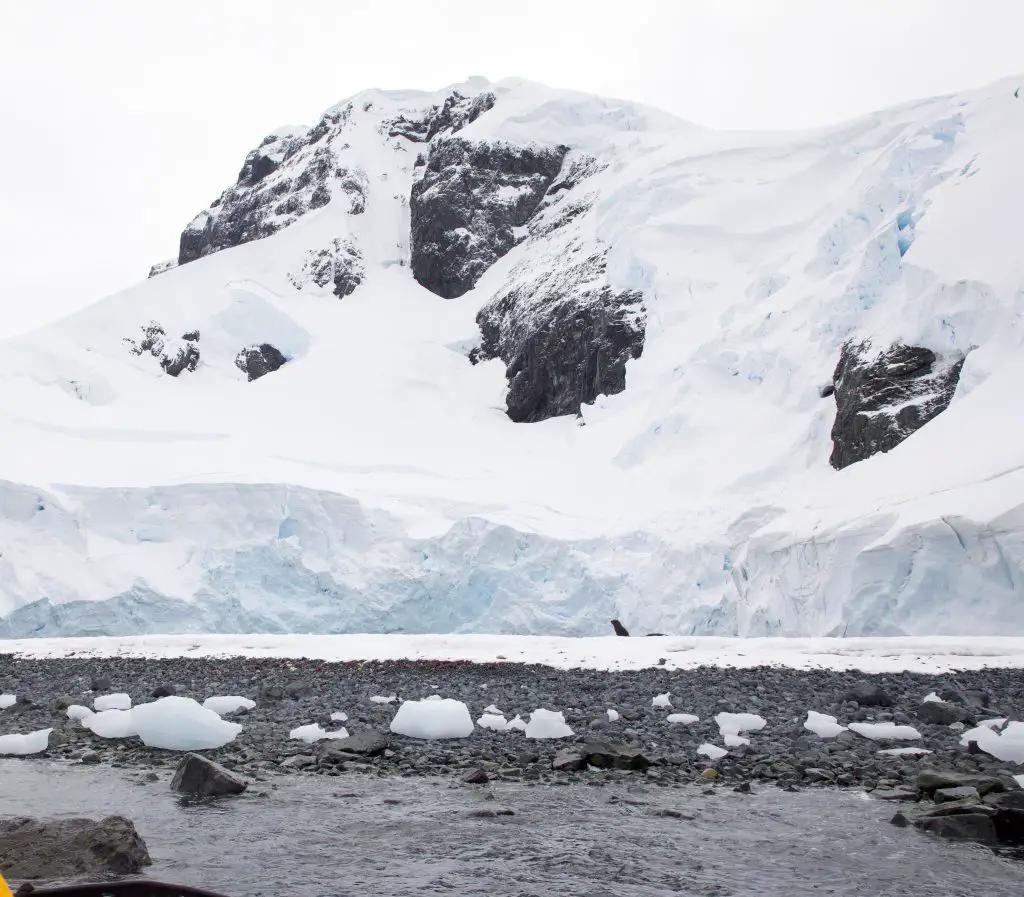 8 Common Myths About Traveling to Antarctica by top travel blogger, Momma Wanderlust