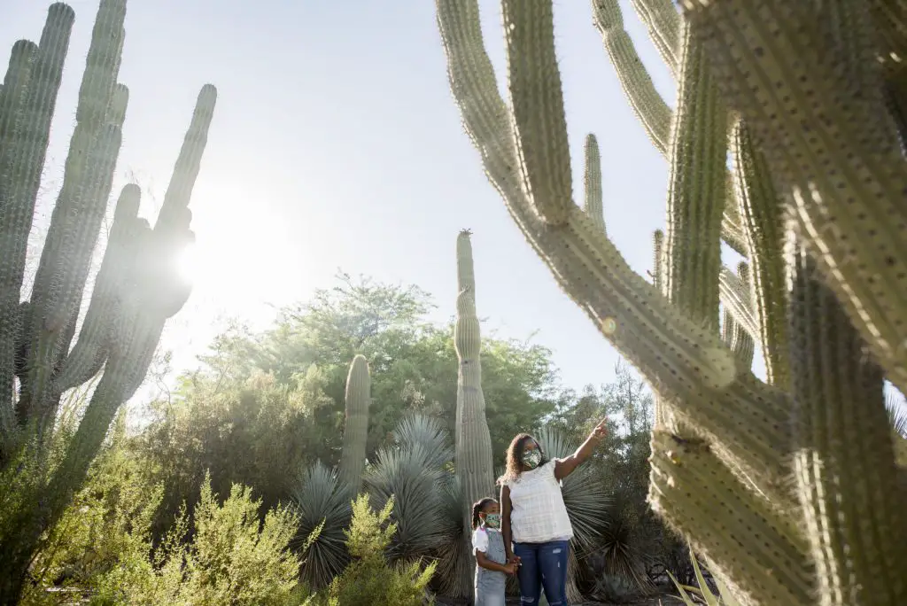 Best US Summer destinations for families in 2022 featured by Momma Wanderlust - Woman with little girl pointing at tall cacti in botanical garden