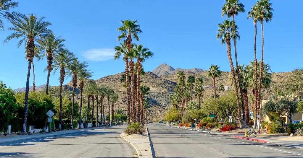 Family Spring Break: Palm Springs