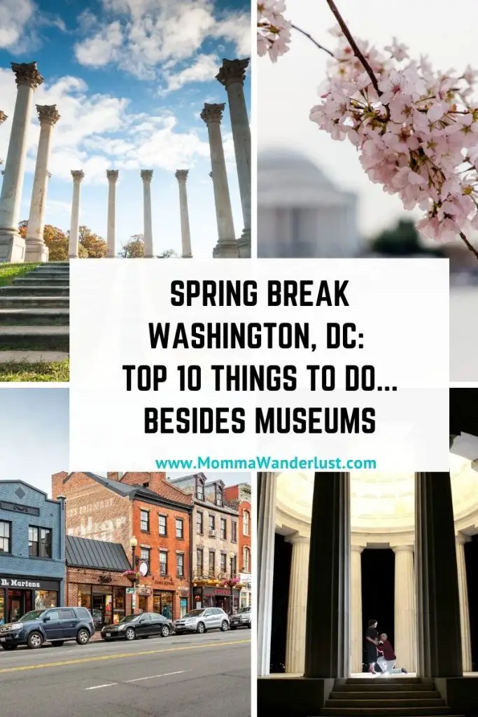 Spring Break in Washington, DC: Top 10 Things to do featured by top BIPOC family travel blogger, Momma Wanderlust