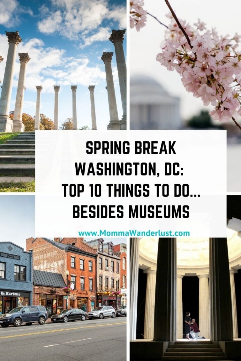 Spring Break in Washington DC Best Things to Do Momma Wanderlust