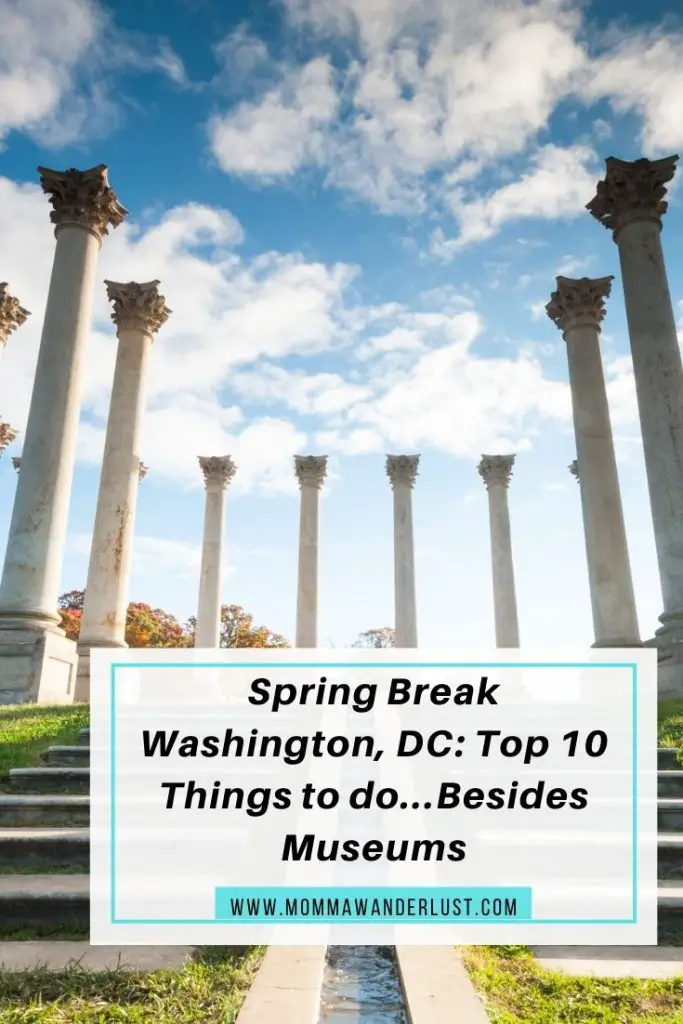 Spring Break in Washington, DC: Top 10 Things to do featured by top BIPOC family travel blogger, Momma Wanderlust