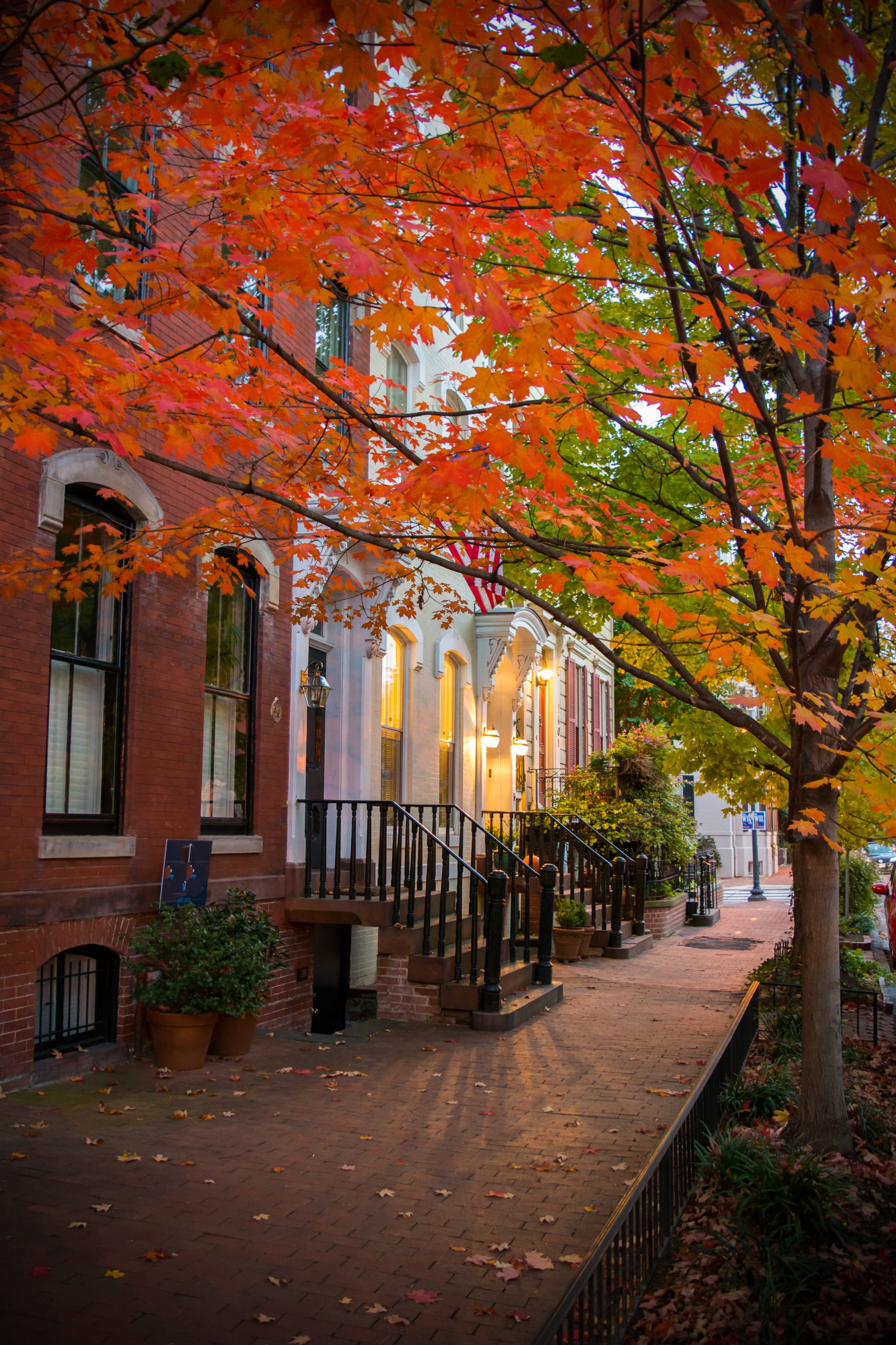 Top 5 Places to See Fall Foliage in Washington, DC Momma Wanderlust