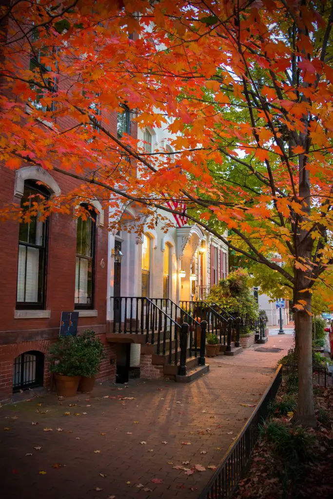 5 Best Places to See Fall Foliage in Washington, DC featured by top US family travel blogger, Momma Wanderlust