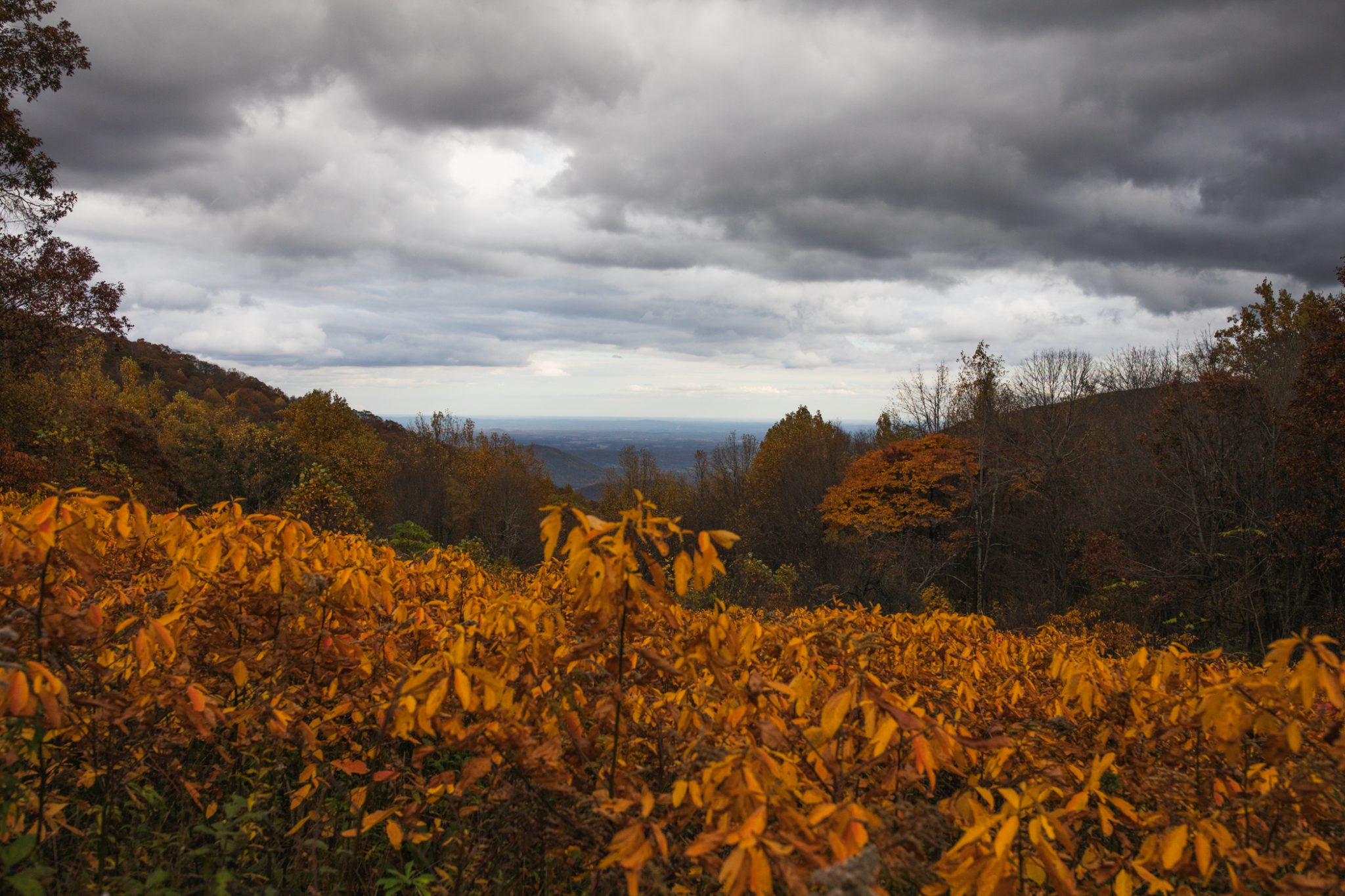 Best Places for Fall Foliage in Shenandonah Valley Momma Wanderlust