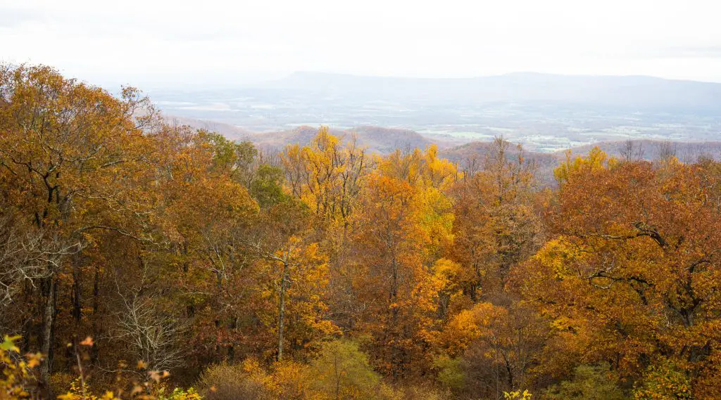 7 Best Places to See Fall Foliage in the Shenandoah Valley featured by top US family travel blogger, Momma Wanderlust