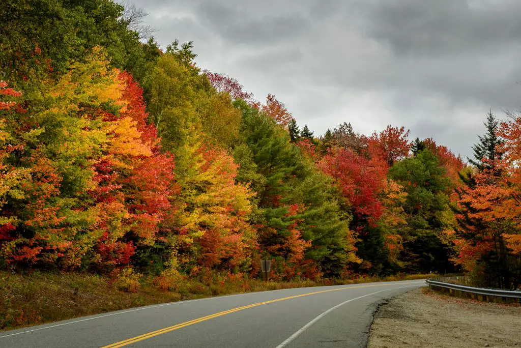 Top 10 Best Fall Foliage Road Trips in the US featured by top BIPOC family travel blogger, Momma Wanderlust