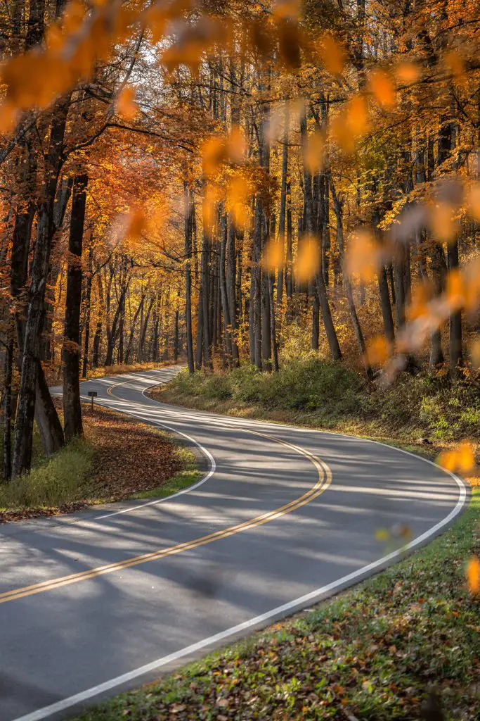Top 10 Best Fall Foliage Road Trips in the US featured by top BIPOC family travel blogger, Momma Wanderlust