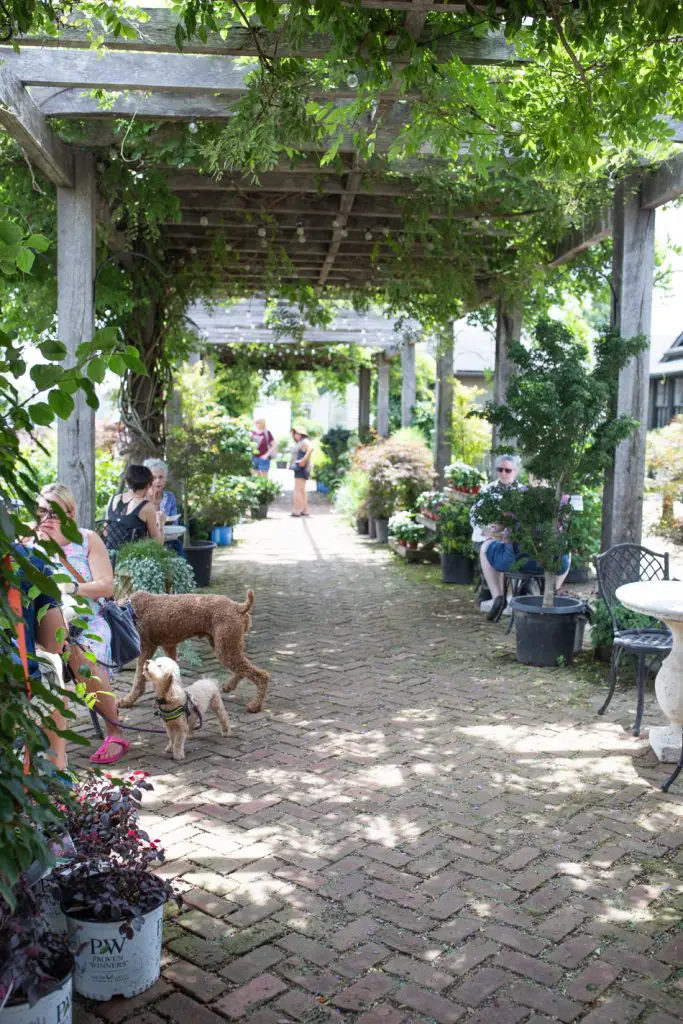 Spending a Day at The Market at Grelen in Orange VA, a travel guide featured by top US BIPOC family travel blogger, Momma Wanderlust