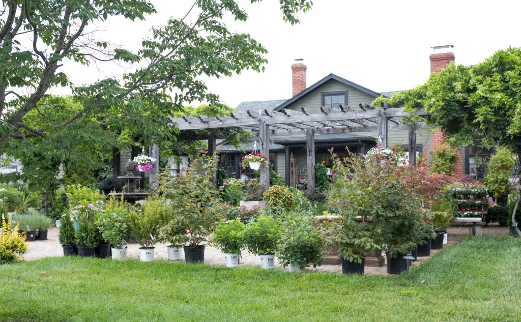 Spending a Day at The Market at Grelen in Orange VA, a travel guide featured by top US BIPOC family travel blogger, Momma Wanderlust