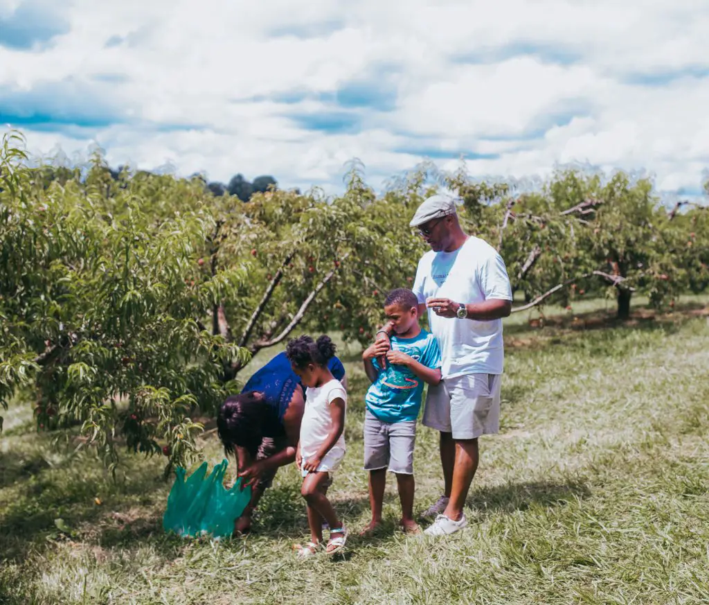 Spending a Day at The Market at Grelen in Orange VA, a travel guide featured by top US BIPOC family travel blogger, Momma Wanderlust