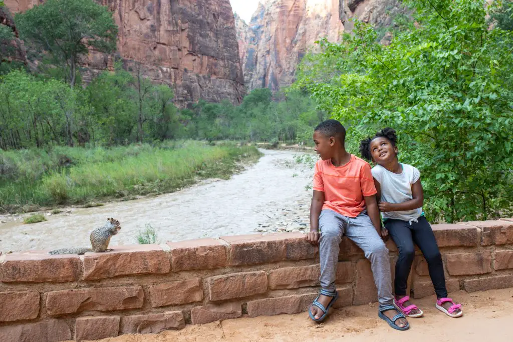 10 Fun Things to Do with Kids in Zion National Park by top US family travel blogger, Momma Wanderlust