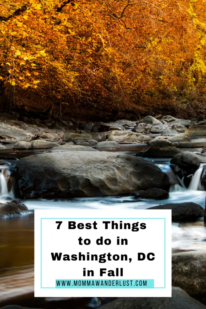 Things To Do in Washington DC in the Fall by Momma Wanderlust