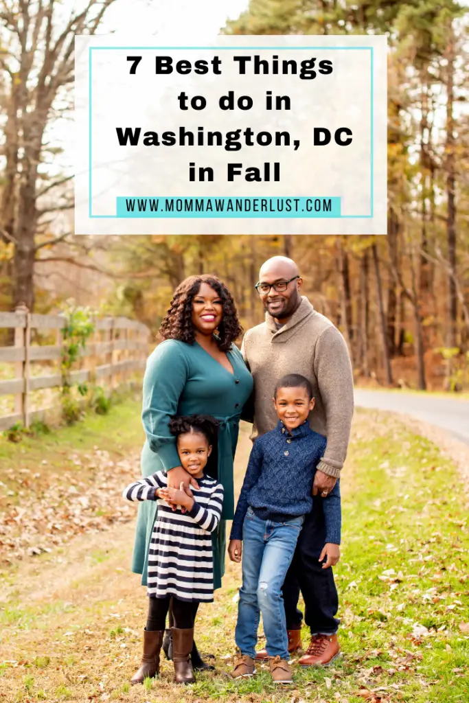 Things To Do in Washington DC in the Fall by Momma Wanderlust 