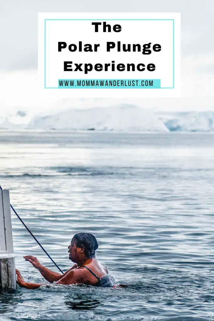 Our Polar Plunge Experience: Overcoming Fear & Celebrating Antarctic  Adventure