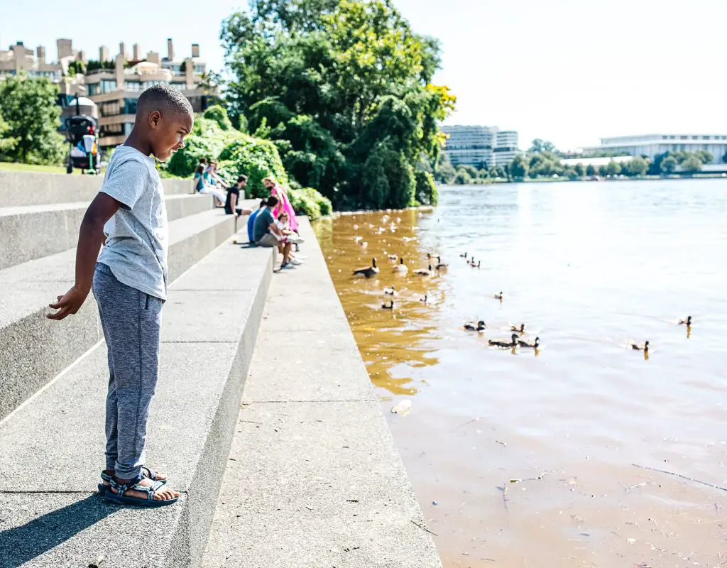 Best Things to Do in Washington DC in the Summer featured by Momma Wanderlust - Georgetown Waterfront Park