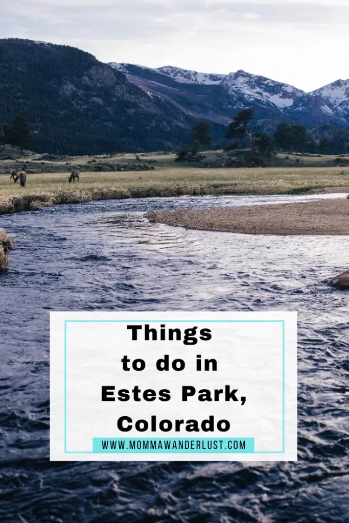 things to do in estes park colorado