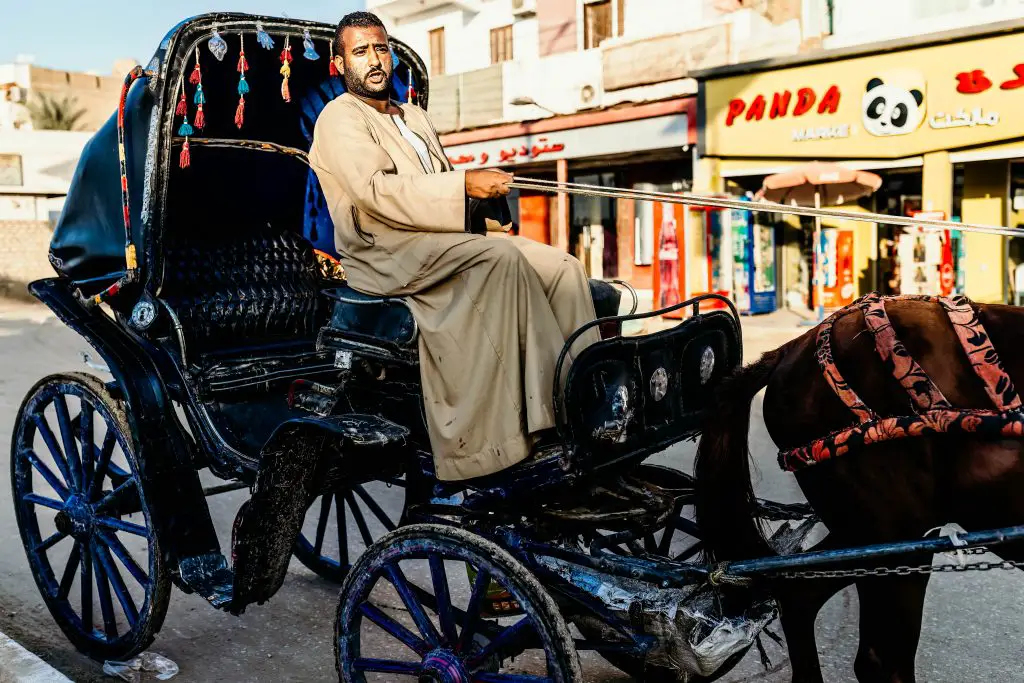 Driver of horsedrawn carriage