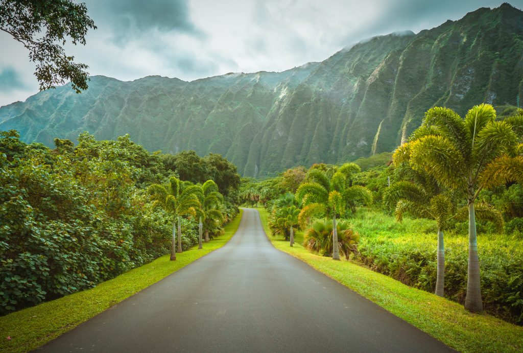 Summer Destinations in the USA, street lined by beautiful greenery with a large green mountain