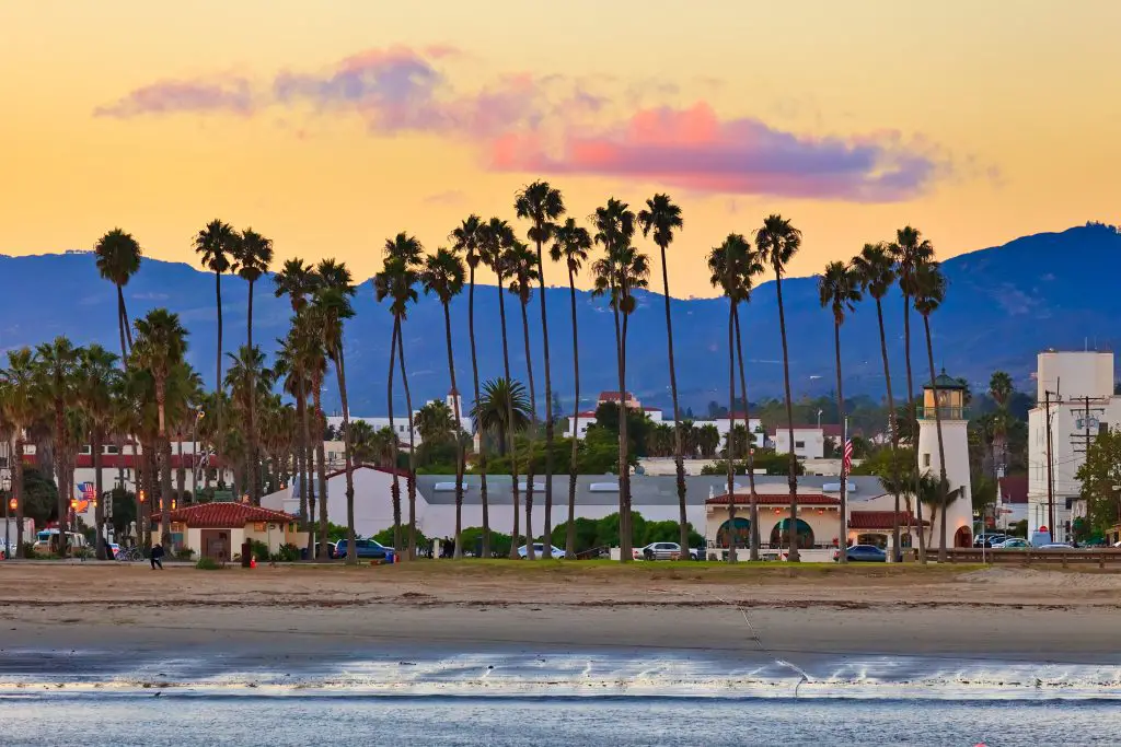 Palm trees along street with sunset and mountain in background.