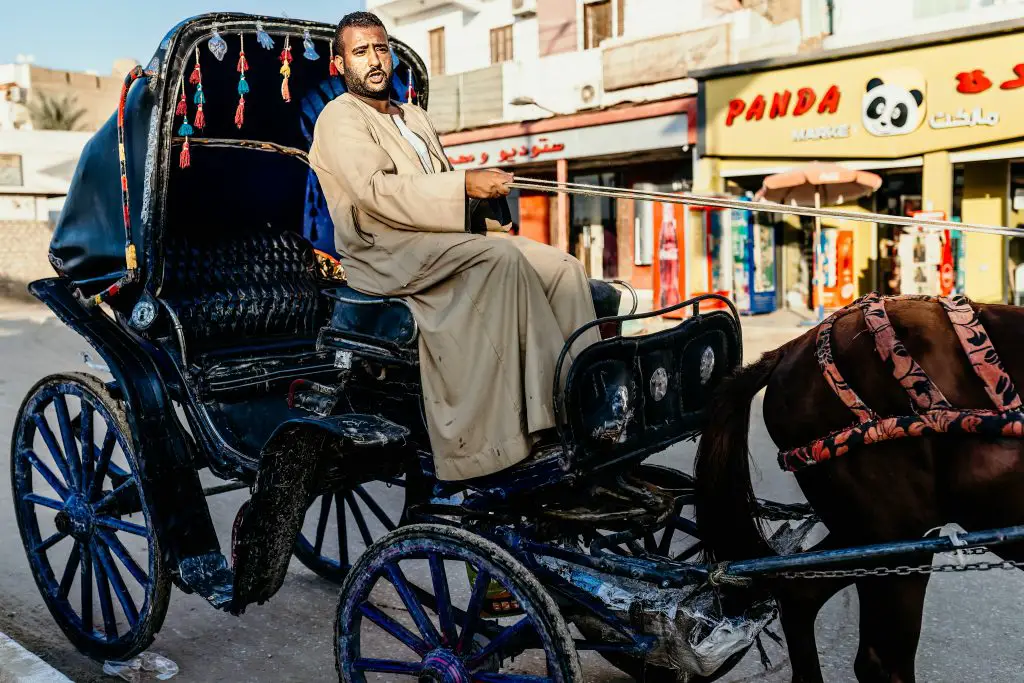 Edfu horse-drawn carriage driver