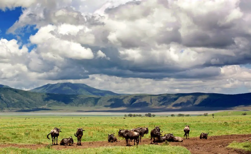 The Maasai people of the Ngorongoro Crater - Travel with me