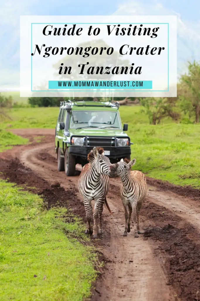 Guide to visiting ngorongoro crater in tanzania blog cover 2