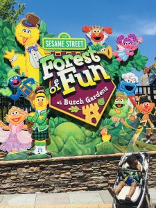 An old photo of my son on his first trip to Busch Gardens. He is sitting in a stroller in front of the Sesame Street sign.