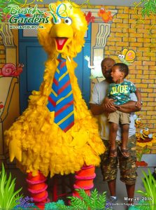 Aubrey with Big Bird in 2016